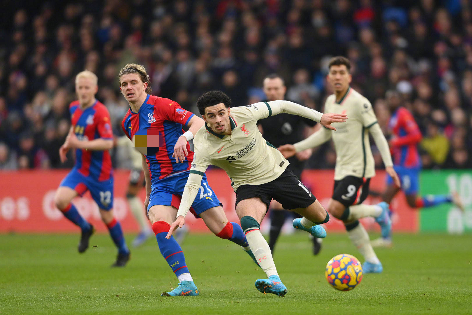 在他们的内 在他们的内